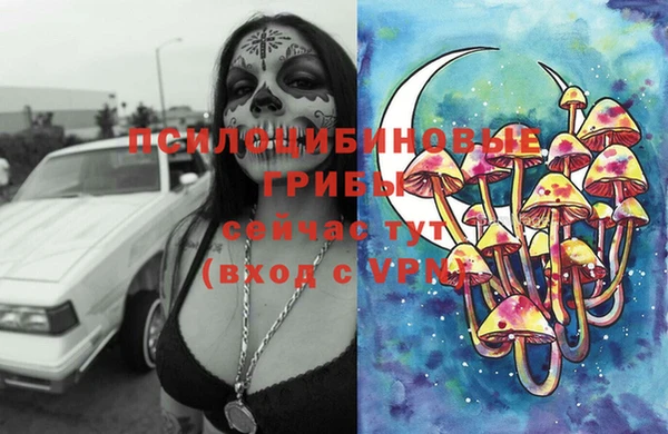 Альфа ПВП Алзамай