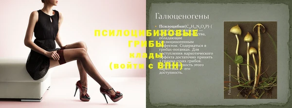 ГАЛЛЮЦИНОГЕННЫЕ ГРИБЫ Алексеевка